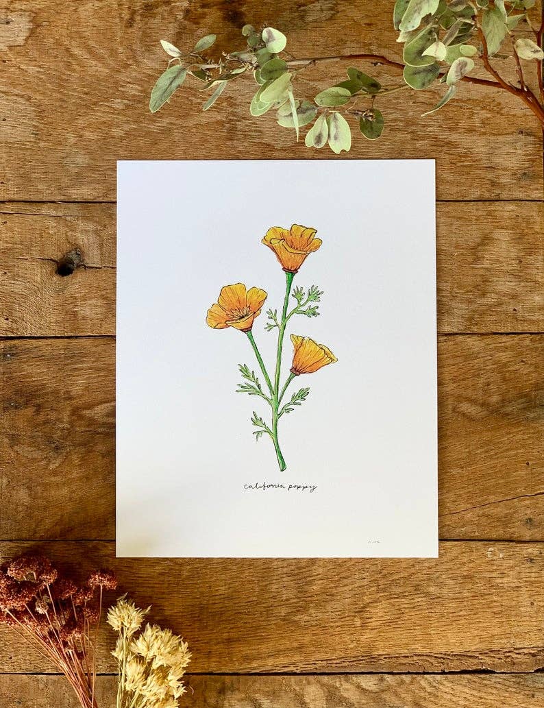 California Golden Poppy Wildflower Art Print Home Wall Decor