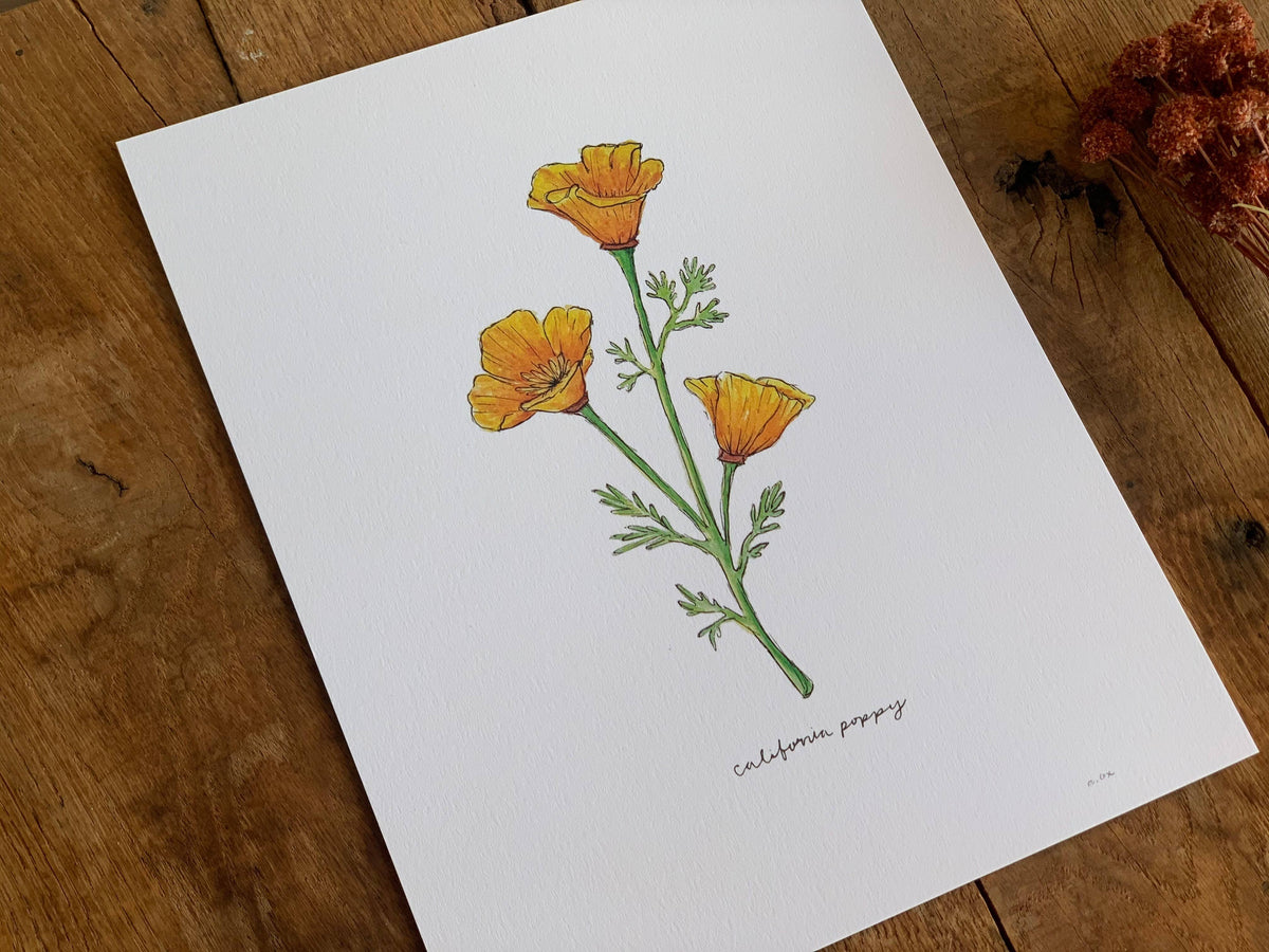 California Golden Poppy Wildflower Art Print Home Wall Decor