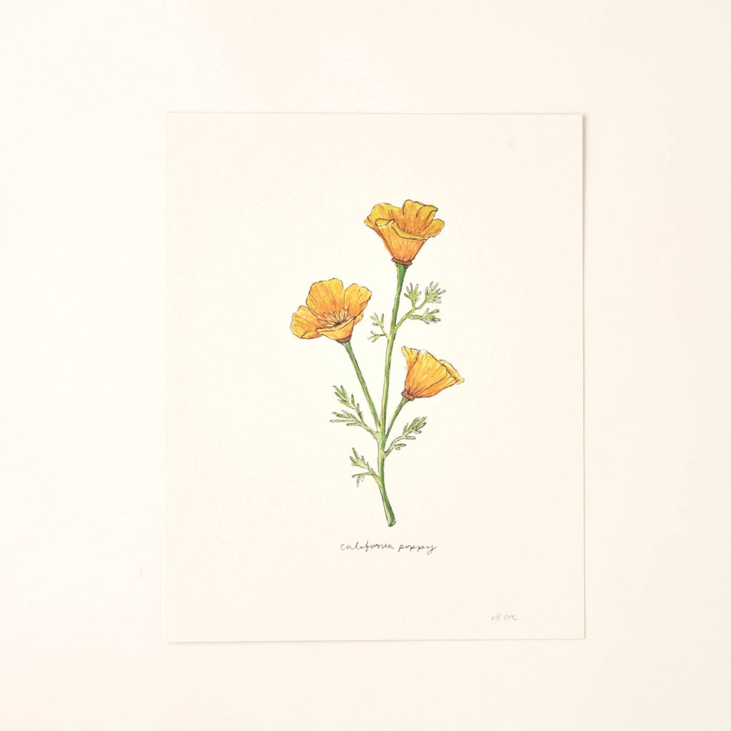 California Golden Poppy Wildflower Art Print Home Wall Decor