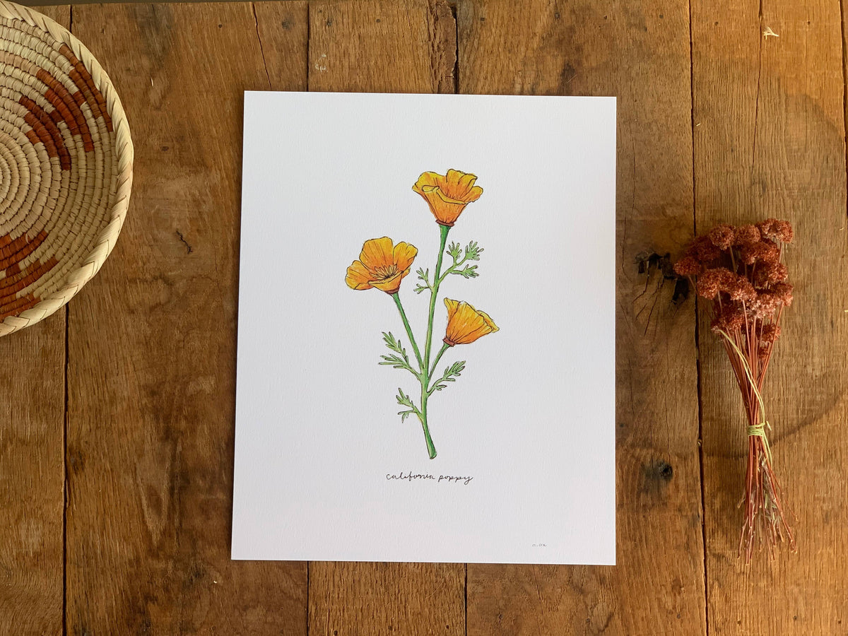 California Golden Poppy Wildflower Art Print Home Wall Decor