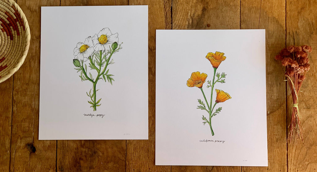 California Golden Poppy Wildflower Art Print Home Wall Decor