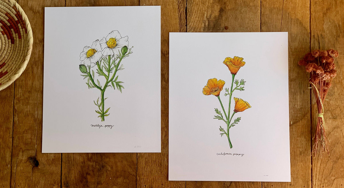 California Golden Poppy Wildflower Art Print Home Wall Decor
