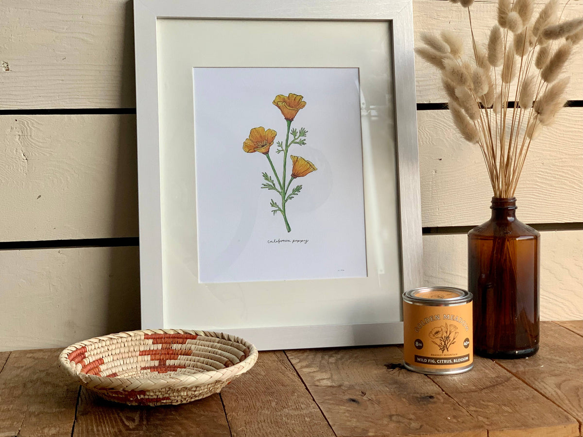 California Golden Poppy Wildflower Art Print Home Wall Decor